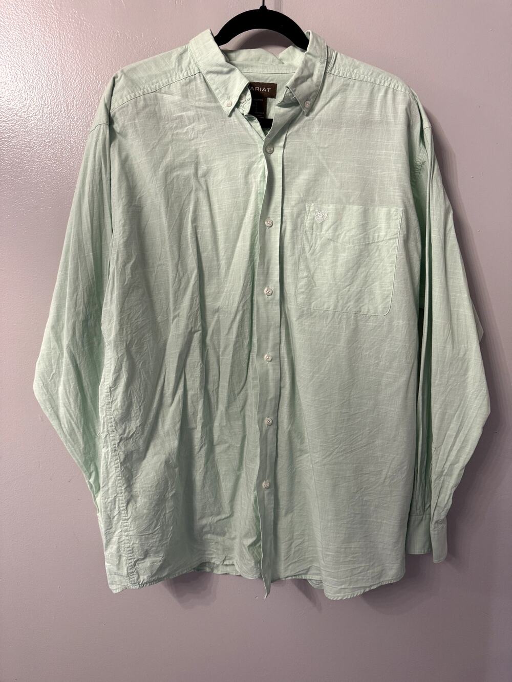 L Ariat Long Sleeve Button down- Seafoam Green